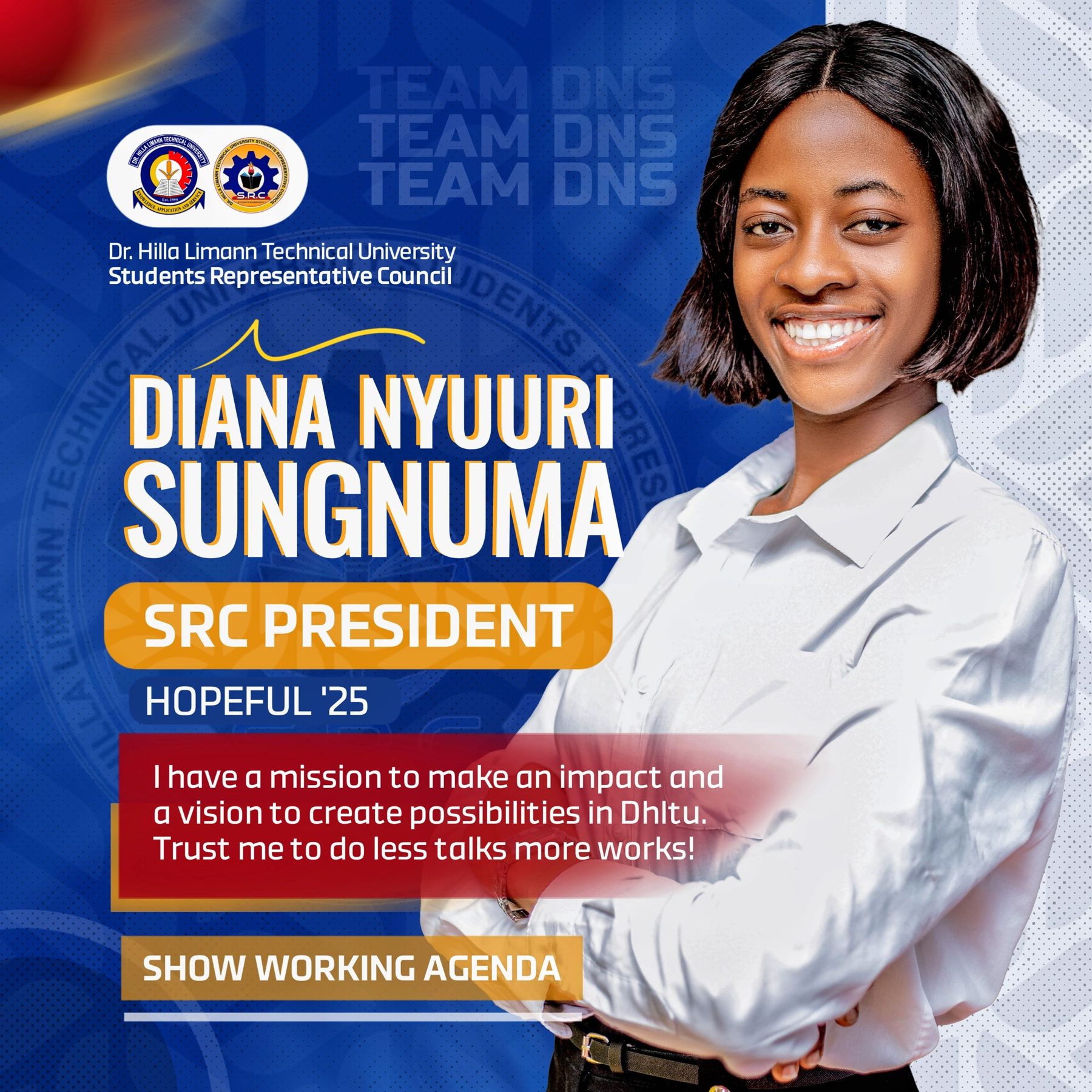 Political Campaign Designs cover